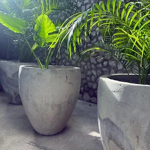 bau-tulum.quintano-roohotels.com/